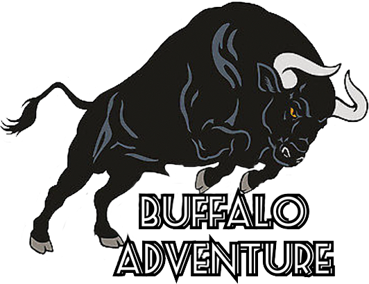 Buffalo Adventure